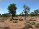 LAGOONA, Pilliga NSW 2388