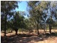 LAGOONA, Pilliga NSW 2388