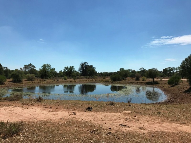 LAGOONA, Pilliga NSW 2388
