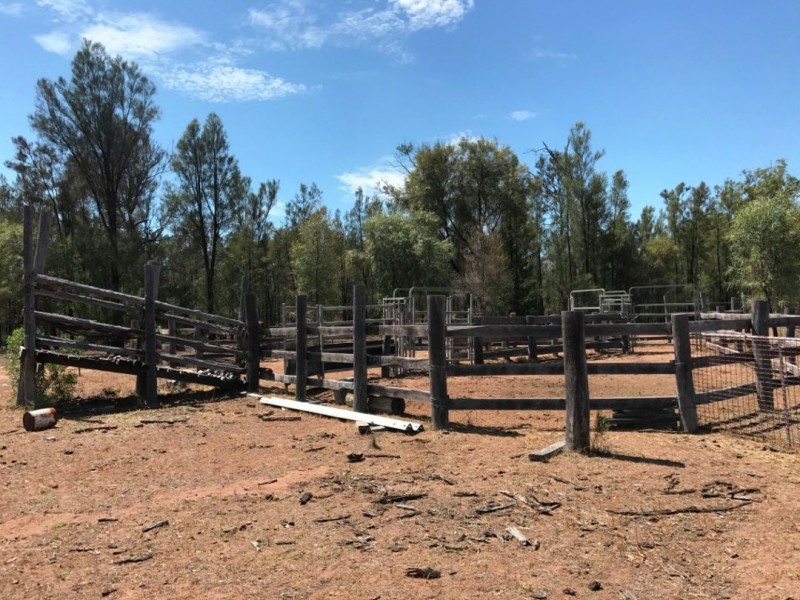 LAGOONA, Pilliga NSW 2388