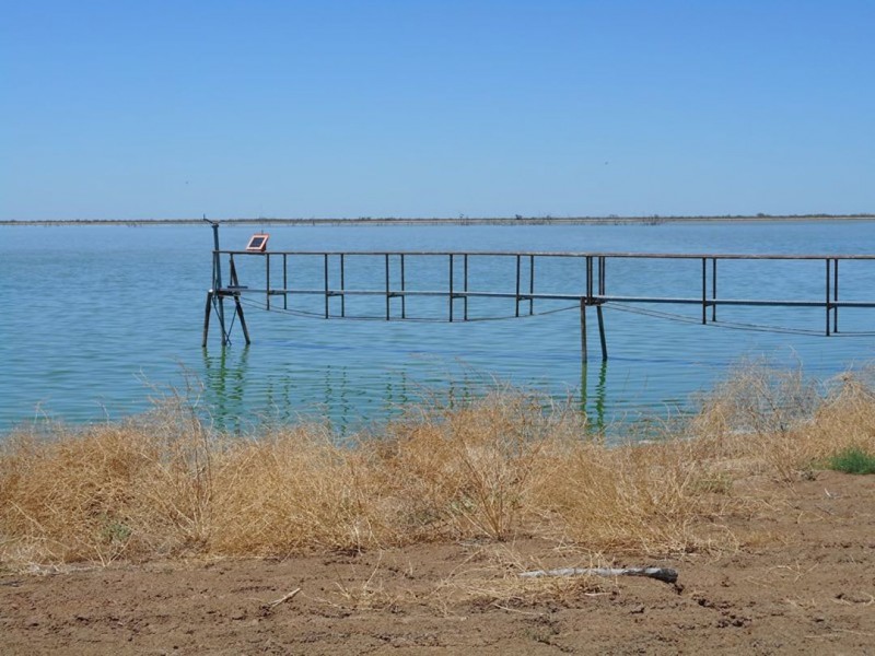 Prattenville Irrigation, Bourke NSW 2840