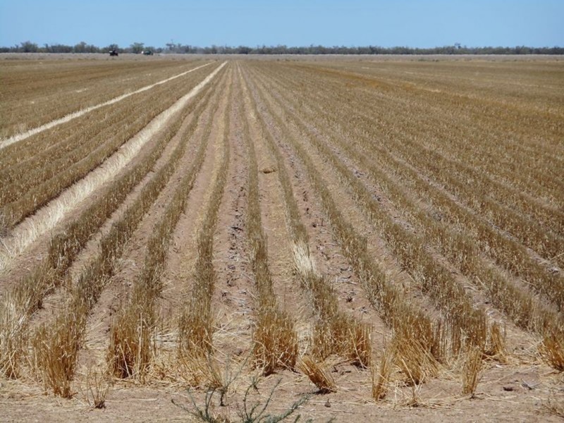 Prattenville Irrigation, Bourke NSW 2840