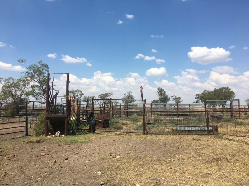 “Yileena”, Moree NSW 2400