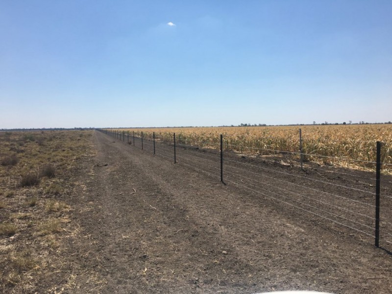 “Yileena”, Moree NSW 2400