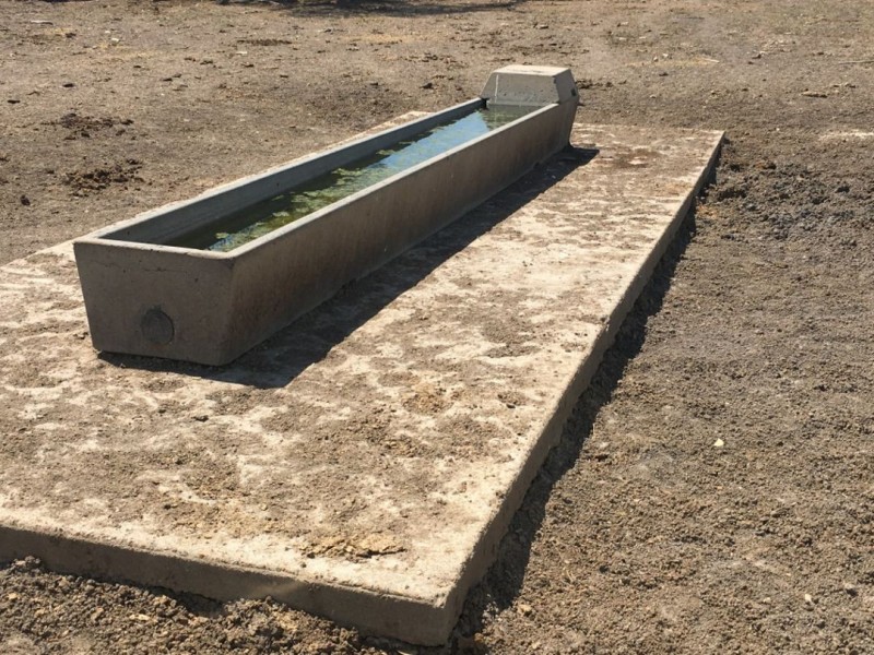 “Yileena”, Moree NSW 2400