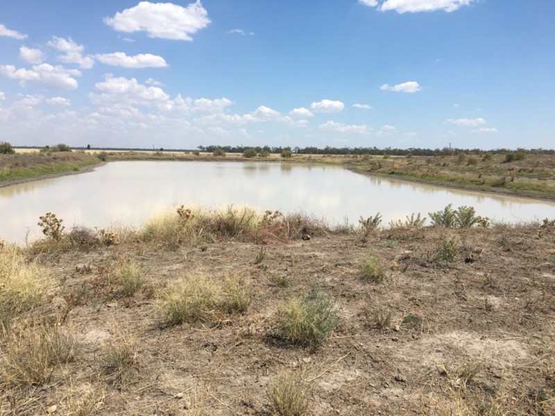 “Yileena”, Moree NSW 2400