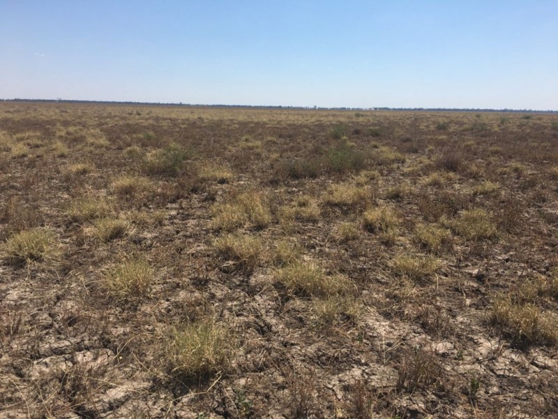 “Yileena”, Moree NSW 2400