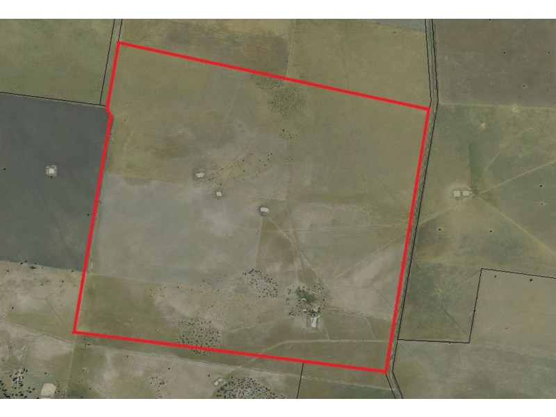 “Yileena”, Moree NSW 2400