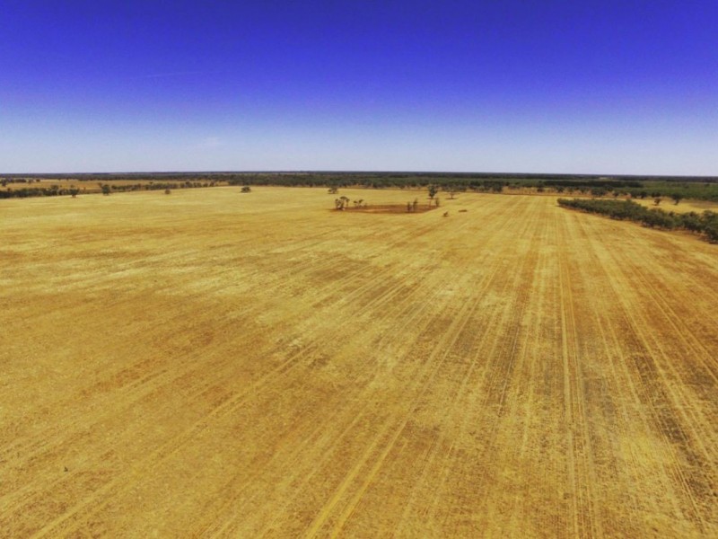 “Yarrol” Gingham Road, Moree NSW 2400