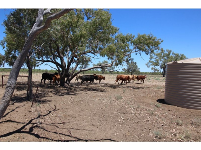 “Yarrol” Gingham Road, Moree NSW 2400