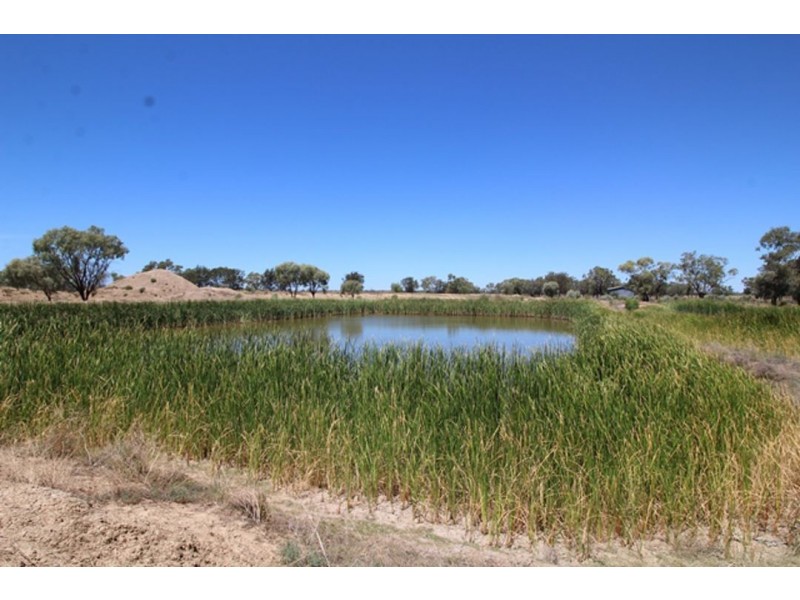 “Yarrol” Gingham Road, Moree NSW 2400
