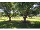 92 CHINAMANS LANE, Moree NSW 2400