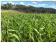 Part Arcadia, Bellata NSW 2397