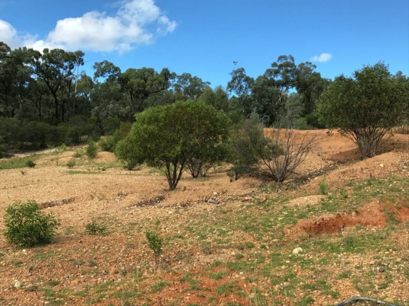 Part Arcadia, Bellata NSW 2397