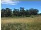 Part Arcadia, Bellata NSW 2397