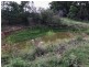 Part Arcadia, Bellata NSW 2397