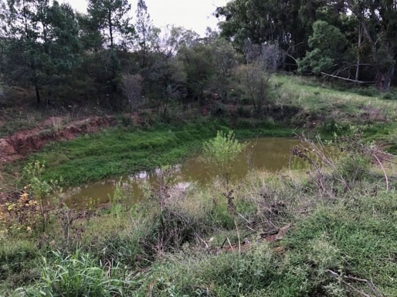 Part Arcadia, Bellata NSW 2397