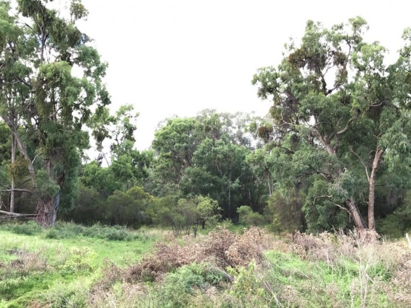Part Arcadia, Bellata NSW 2397