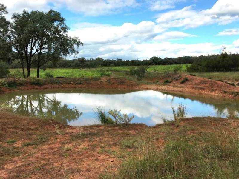 Part Arcadia, Bellata NSW 2397