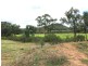 Part Arcadia, Bellata NSW 2397