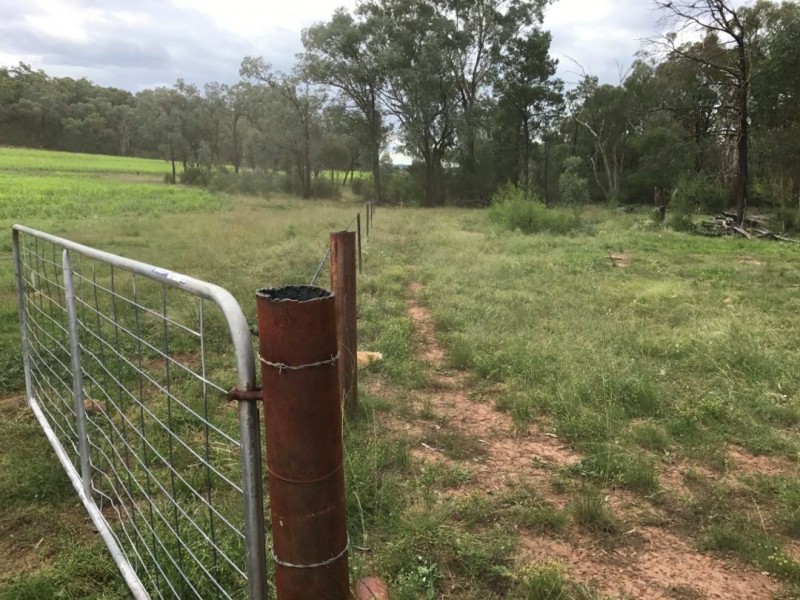Part Arcadia, Bellata NSW 2397