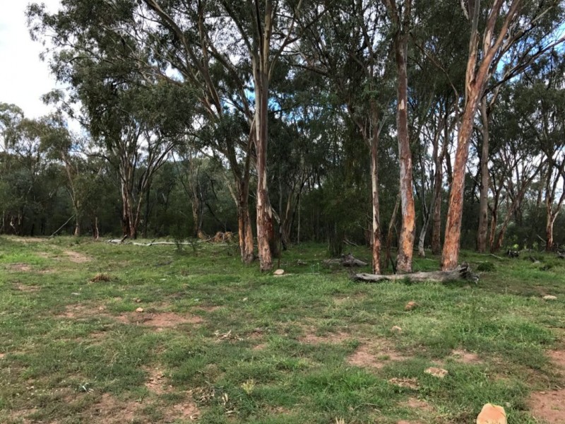 Part Arcadia, Bellata NSW 2397