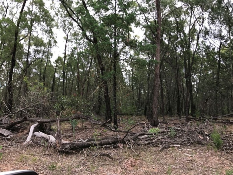 Part Arcadia, Bellata NSW 2397