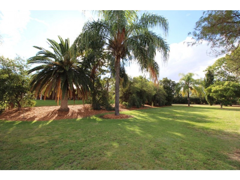 100 KOOROOGAMMA ROAD, Moree NSW 2400