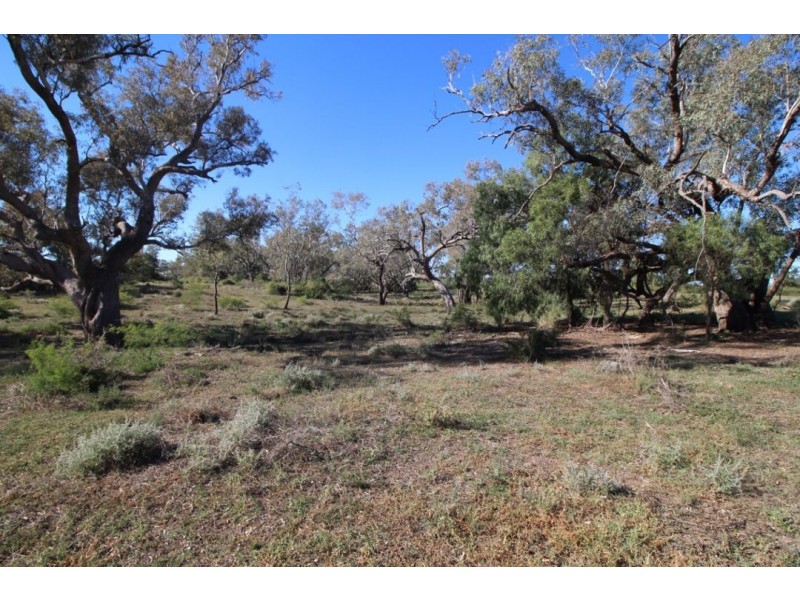 PART COWELL LAGOON, Moree NSW 2400