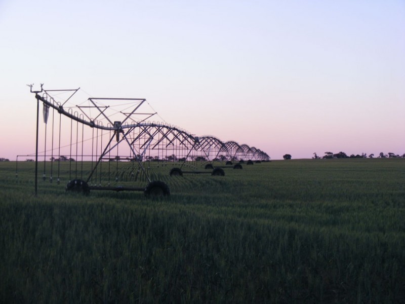 STRATHDARR, Crooble NSW 2400