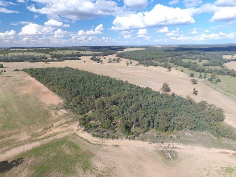 STRATHDARR, Crooble NSW 2400