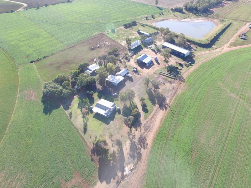 “Bethlee”, Pallamallawa NSW 2399