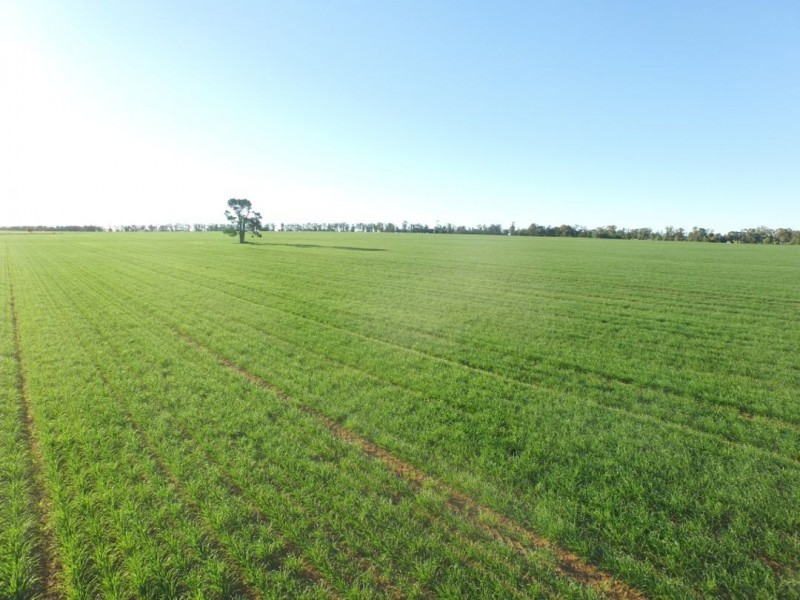 “Bethlee”, Pallamallawa NSW 2399