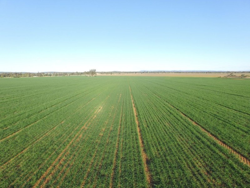 “Bethlee”, Pallamallawa NSW 2399