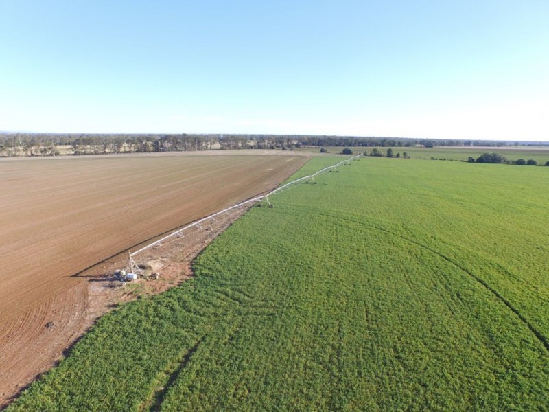 “Bethlee”, Pallamallawa NSW 2399