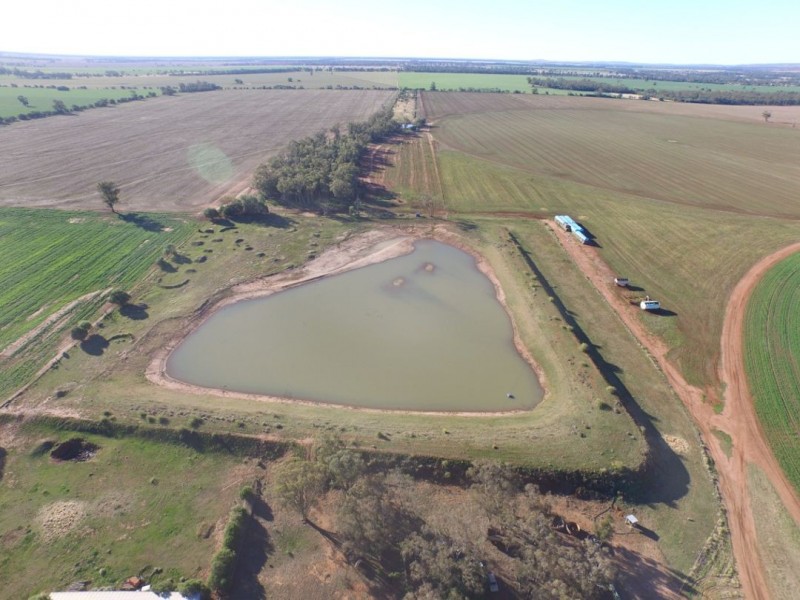 “Bethlee”, Pallamallawa NSW 2399