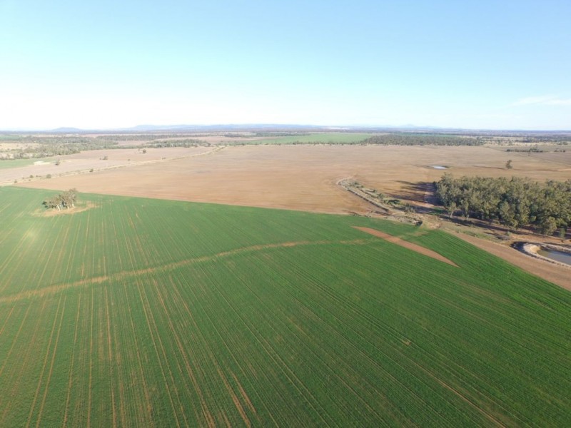 “Bethlee”, Pallamallawa NSW 2399