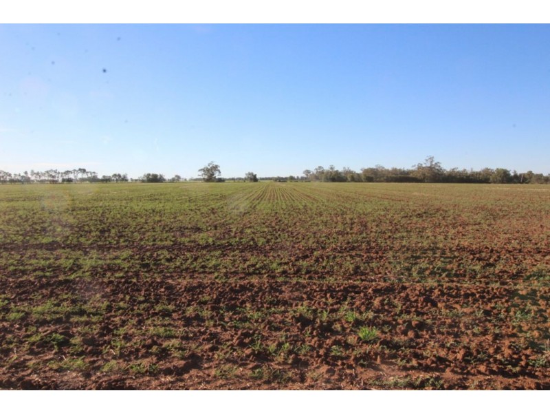 “Bethlee”, Pallamallawa NSW 2399