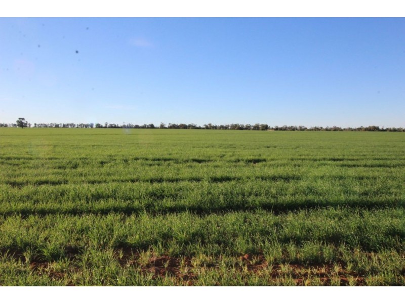 “Bethlee”, Pallamallawa NSW 2399