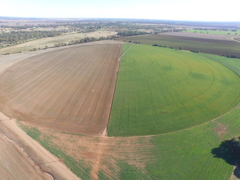 “Bethlee”, Pallamallawa NSW 2399