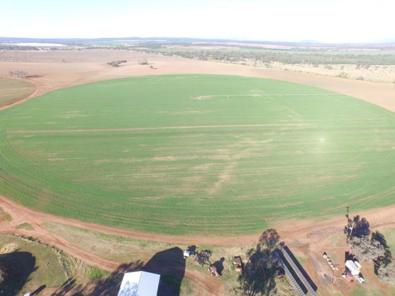 “Bethlee”, Pallamallawa NSW 2399