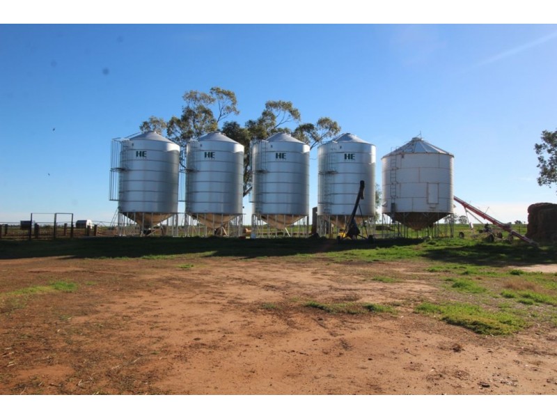 “Bethlee”, Pallamallawa NSW 2399