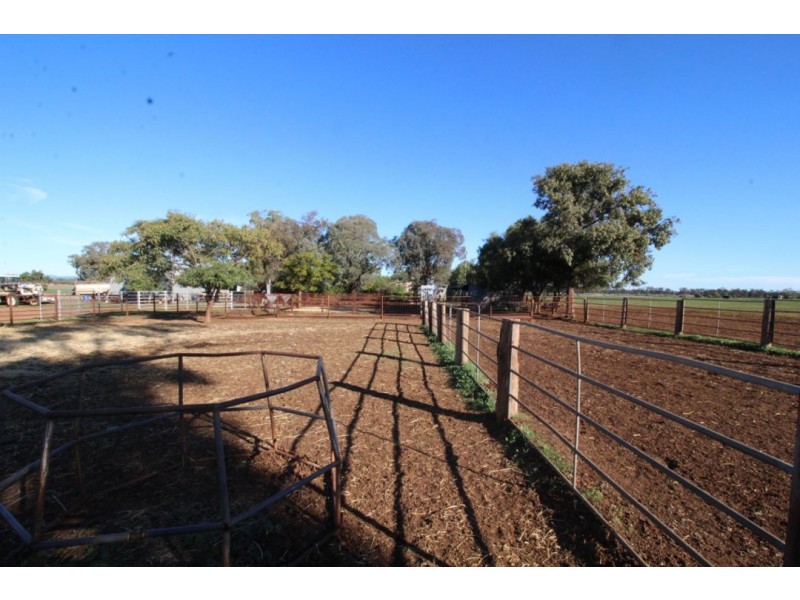 “Bethlee”, Pallamallawa NSW 2399