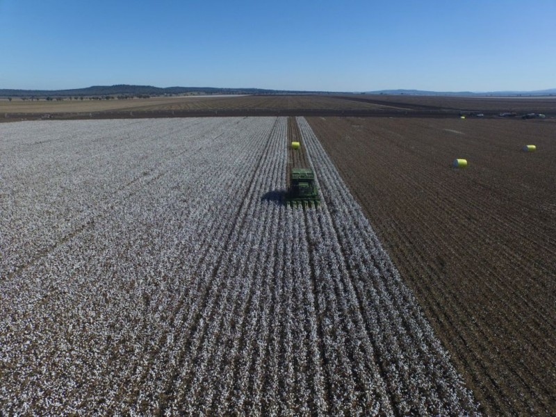 “Five Mile” & “Garrawan”, Breeza NSW 2381