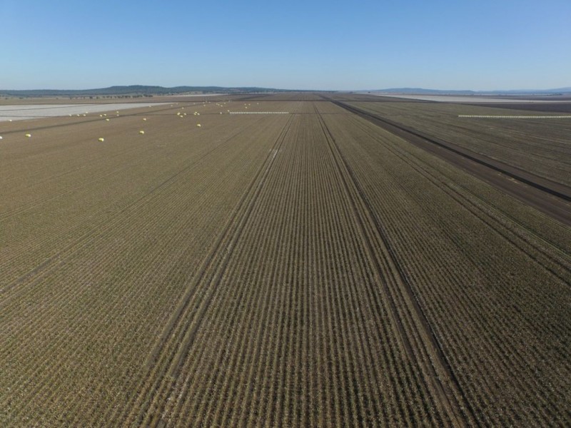 “Five Mile” & “Garrawan”, Breeza NSW 2381