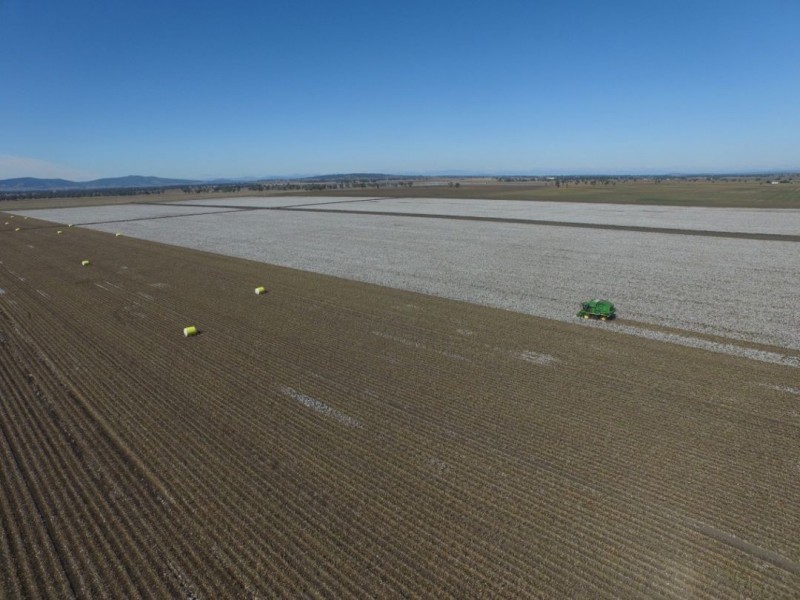 “Five Mile” & “Garrawan”, Breeza NSW 2381