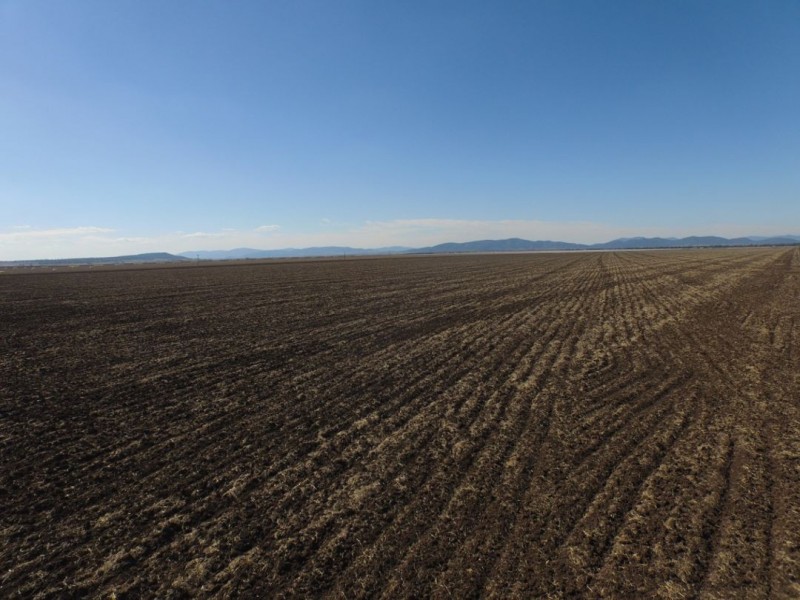 “Five Mile” & “Garrawan”, Breeza NSW 2381