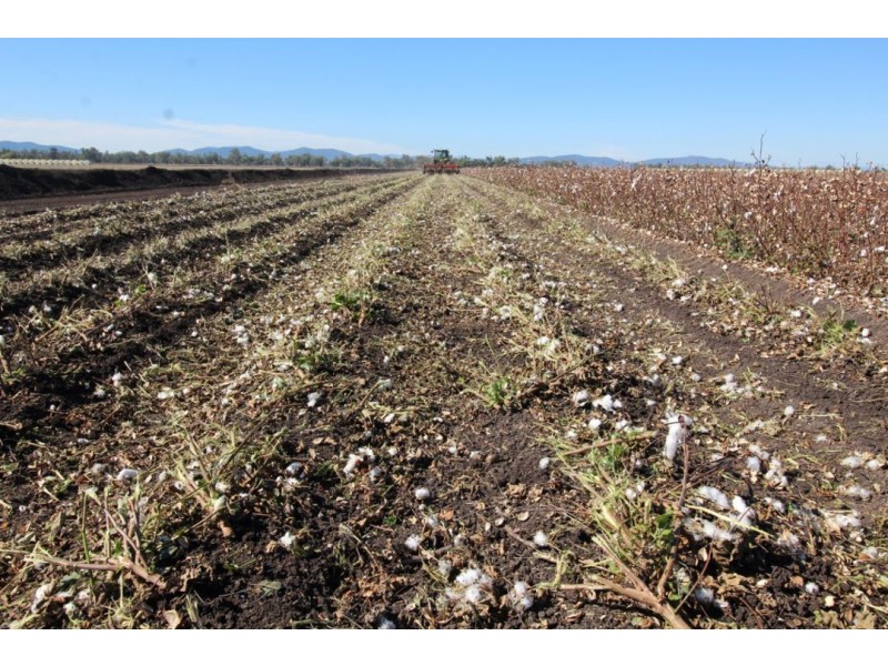 “Five Mile” & “Garrawan”, Breeza NSW 2381