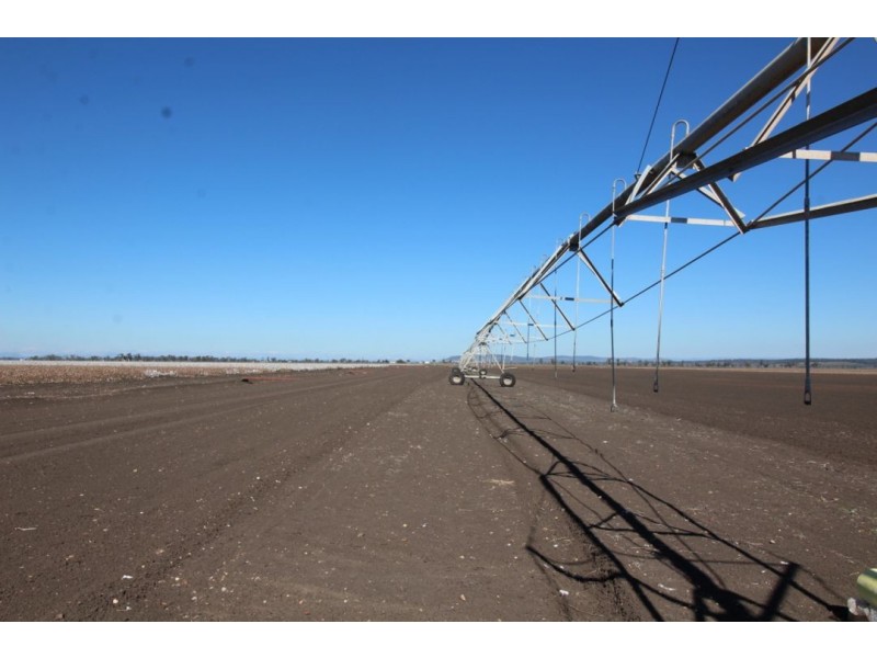 “Five Mile” & “Garrawan”, Breeza NSW 2381