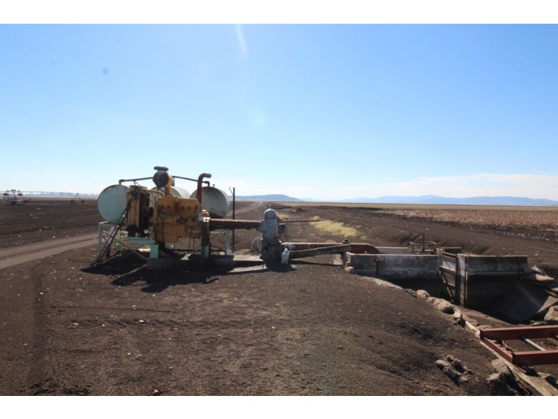 “Five Mile” & “Garrawan”, Breeza NSW 2381